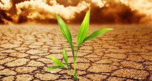 κλιματικη-αλλαγη-ξηρασια-υπερθερμανση