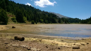 ΦΩΤΟΓΡΑΦΙΑ: ΕΛΛΗΝΙΚΗ ΓΕΩΡΓΙΑ