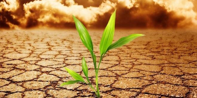 Διεθνές συνέδριο για τη γεωργία και την κλιματική αλλαγή στα Χανιά