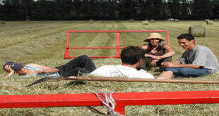 αγροτες-γεωργια