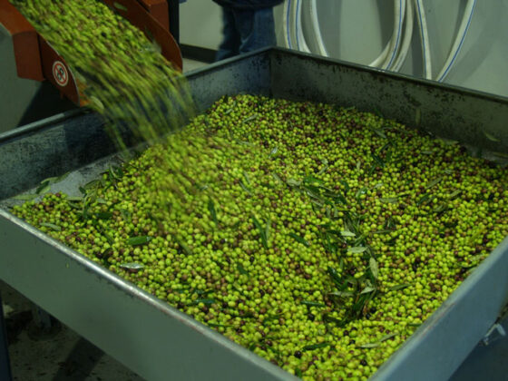 Παρέμβαση της ΠΕΑΣΟΕΠΕ για την εύρυθμη λειτουργία των Προγραμμάτων ΟΕΦ